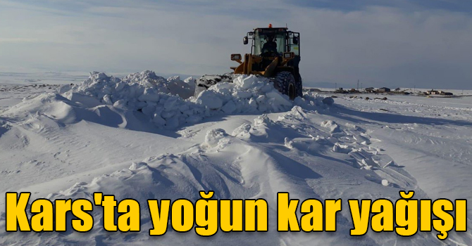 Kars'ta yoğun kar yağışı
