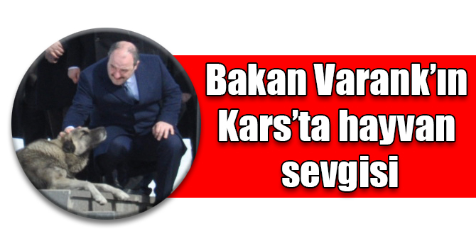 Bakan Varank’ın Kars’ta hayvan sevgisi