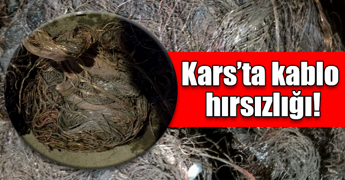 Kars’ta kablo hırsızlığı!