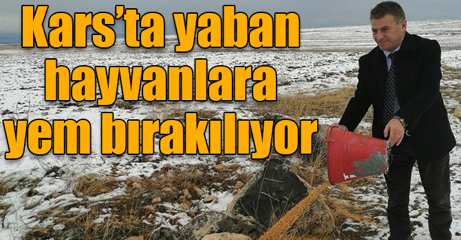 Kars’ta yaban hayvanlara yem bırakılıyor