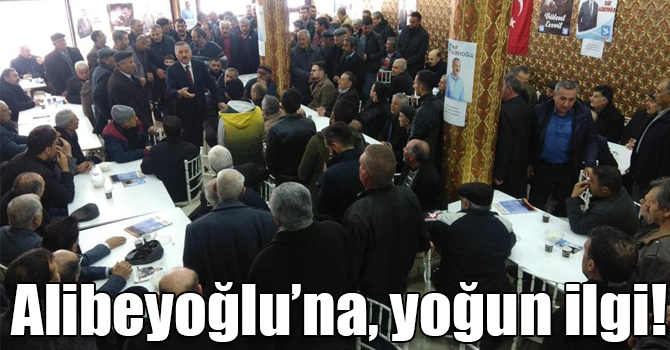 Kars’ta DSP’nin Belediye Başkan adayı Alibeyoğlu, yoğun ilgi görüyor