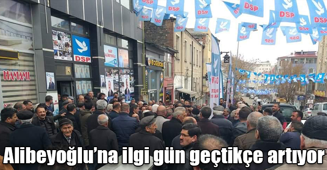 Naif Alibeyoğlu’na ilgi gün geçtikçe artıyor