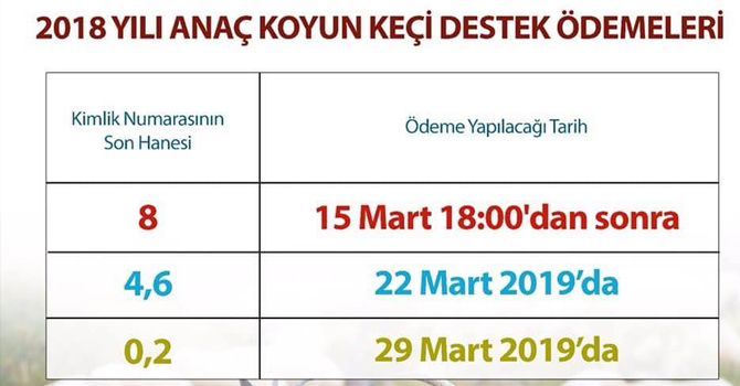 Kars'ta anaç koyun ve keçi destek ödenmeleri devam ediyor