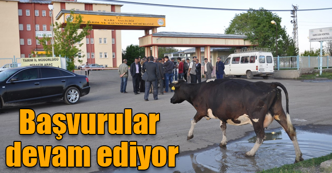 Ahır - ağıl inşaatı ve damızlık erkek hayvan alımı başvuruları devam ediyor