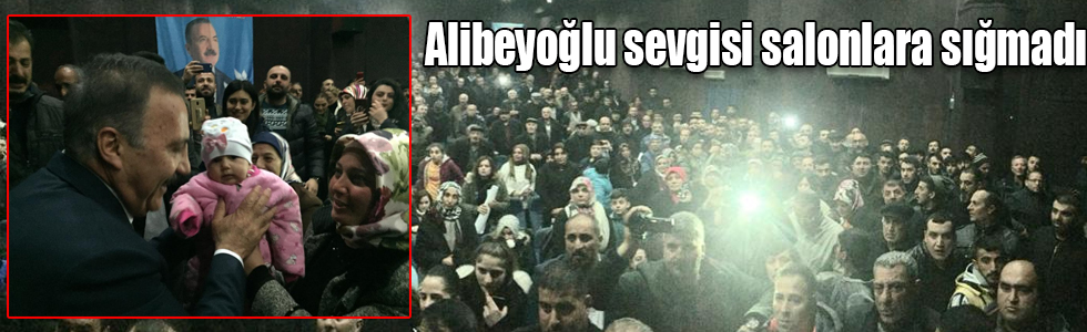 Naif Alibeyoğlu sevgisi salonlara sığmadı