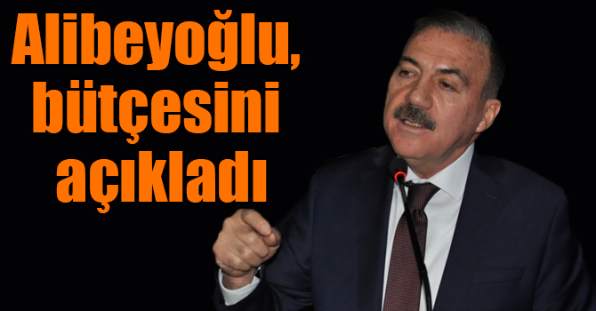 Naif Alibeyoğlu, seçim kampanya bütçesini açıkladı