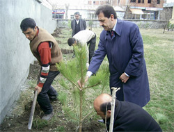 Kağızman'da 100 Fidan Dikildi