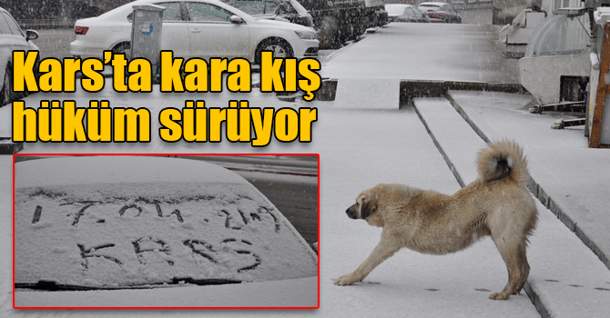 Kars’a Nisan ayında lapa lapa kar yağdı