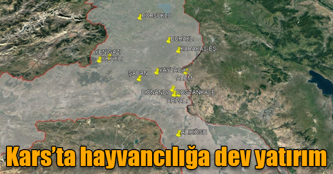DSİ’nin yapacağı 12 gölette, 76 bin 650 hayvan su içecek