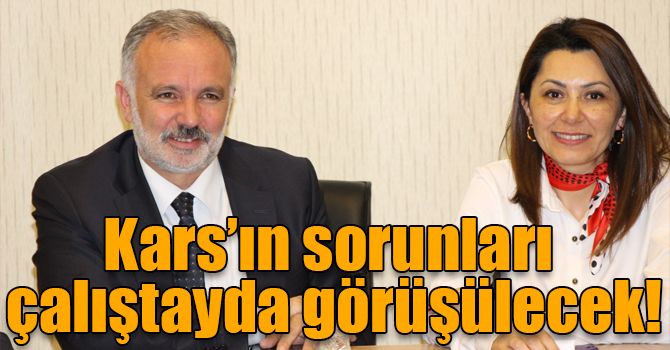 Kars’ın sorunları çalıştayda görüşülecek!