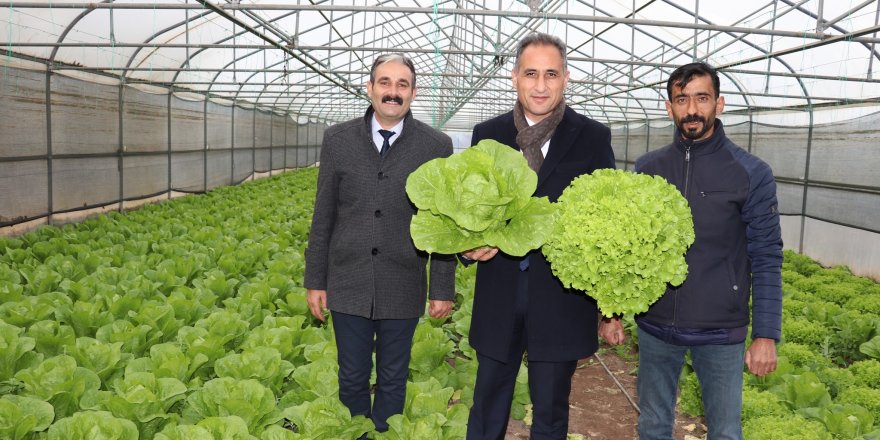 Kars Tarım ve Orman İl Müdürü Enver Aydın, Kağızman’da