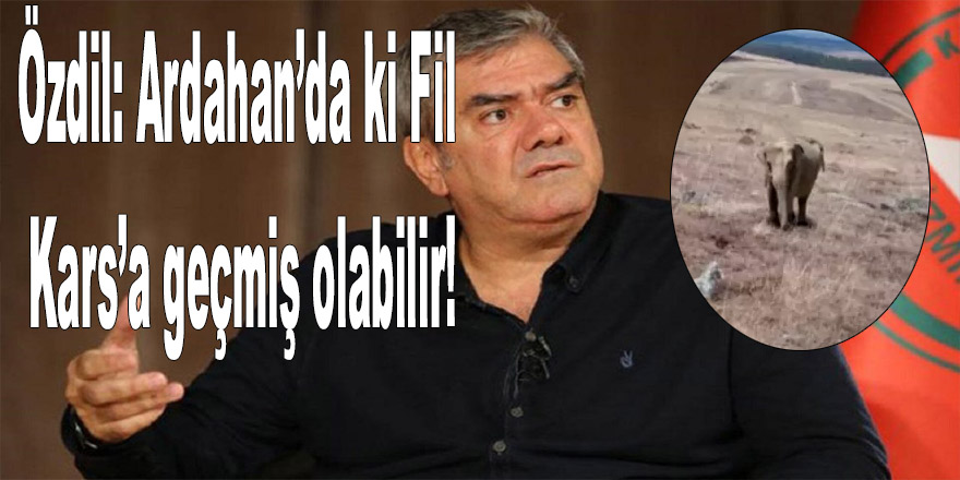 Gazeteci Yılmaz Özdil,Fil Kars'a geçmiş olabilir dedi!