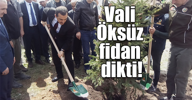 Kars Valisi Türker Öksüz fidan dikti!