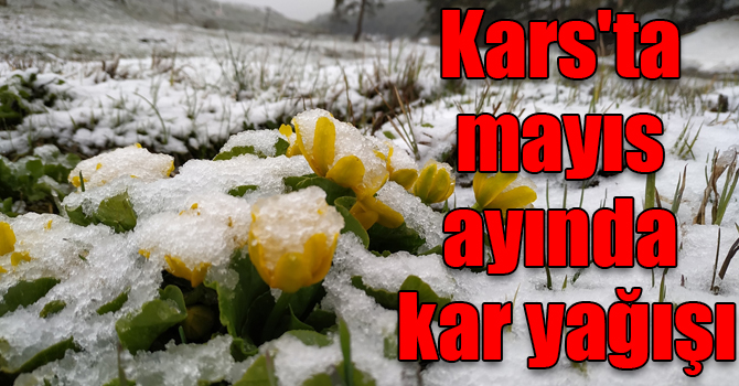 Kars'ta mayıs ayında kar yağışı