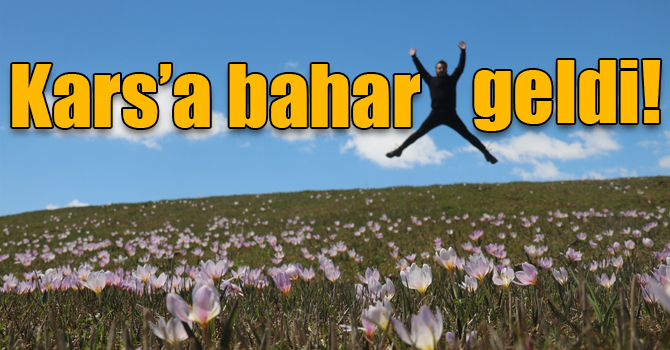 Kars'ta baharın gelmesiyle görsel şölen oluştu