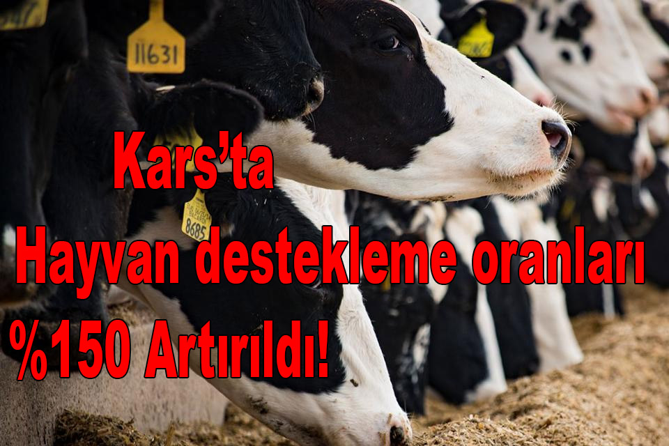 Kars'ta Hayvancılık desteği arttırıldı!