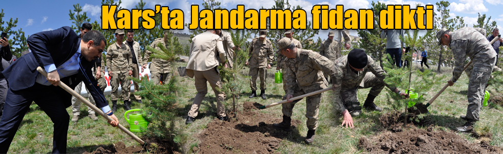 Kars’ta Jandarma fidan dikti