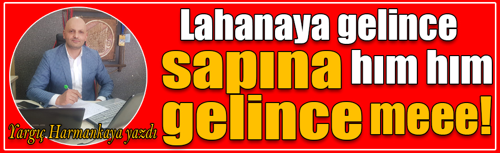Lahanaya gelince hım hım sapına gelince meee!