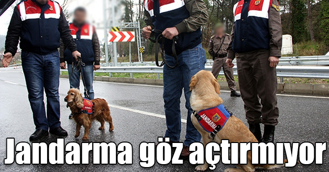 Kars’ta jandarma uyuşturucu tacirlerine göz açtırmıyor