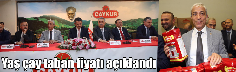 Yaş çay taban fiyatı 3 TL 3 Kuruş olarak açıklandı