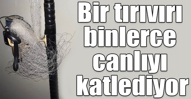 Bir tırıvırı binlerce canlıyı katlediyor