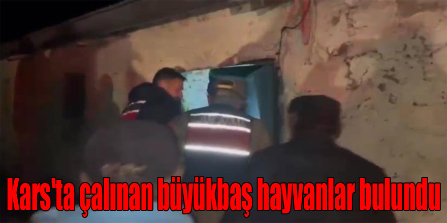 Kars'ta çalınan büyükbaş hayvanlar bulundu