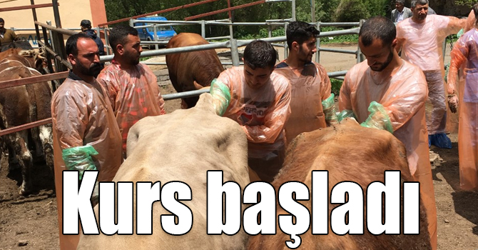 VHO’nun bakanlık onaylı suni tohumlama kursu başladı