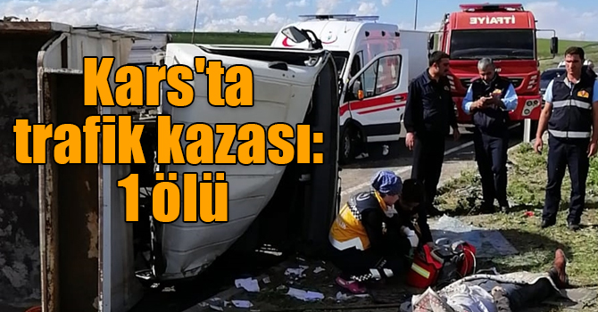 Kars'ta şarampole devrilen kamyonetin sürücüsü öldü