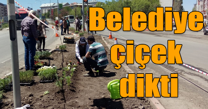 Kars Belediyesi çiçek dikti
