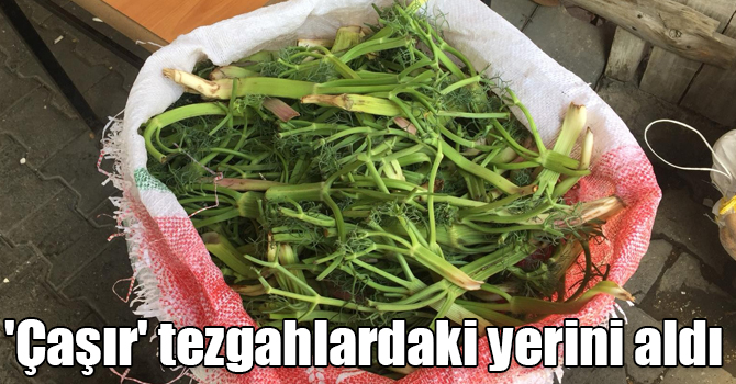 Kars'ta 'Çaşır' tezgahlardaki yerini aldı