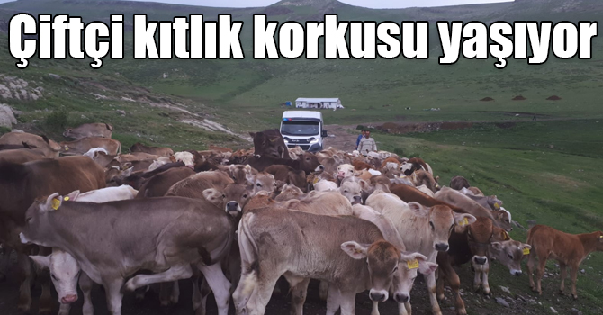 Kars çiftçisi kıtlık korkusu yaşıyor