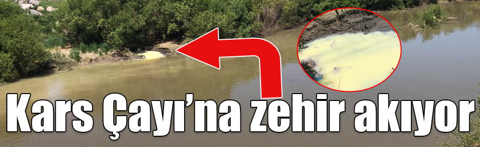 Kars Çayı’na zehir akıyor