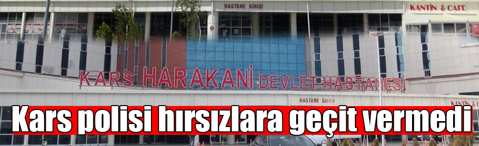 Kars polisi hırsızlara geçit vermedi