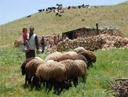 Kars'a Bahar Erken Geldi