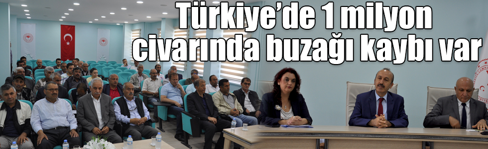 Türkiye’de 1 milyon civarında buzağı kaybı var