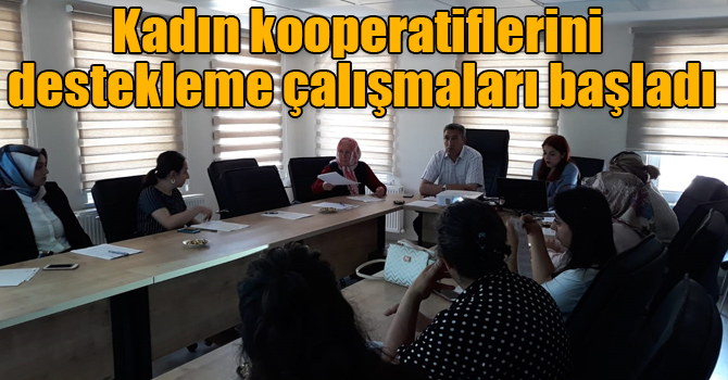 Kadın kooperatiflerini destekleme çalışmaları başladı