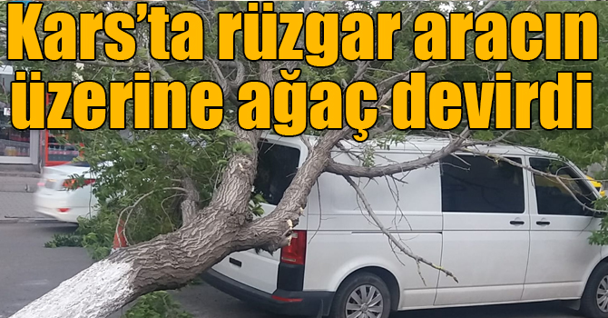 Kars’ta rüzgar aracın üzerine ağaç devirdi