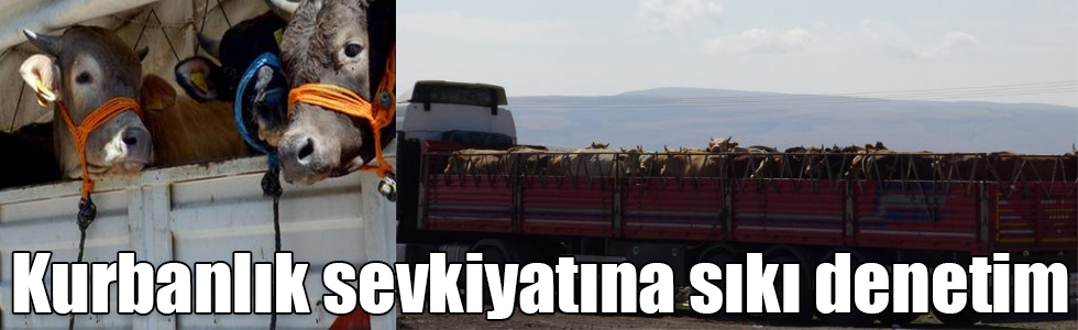 Doğuda kurbanlık sevkiyatına sıkı denetim