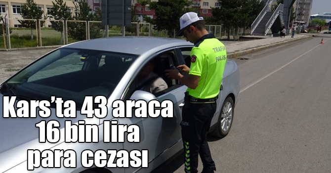 Kars’ta 43 araca 16 bin lira para cezası