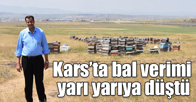 Kars’ta bal verimi yarı yarıya düştü