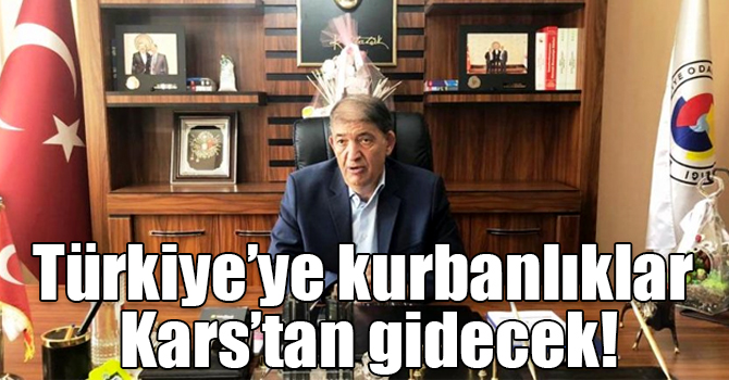 Türkiye’ye kurbanlıklar Kars’tan gidecek!