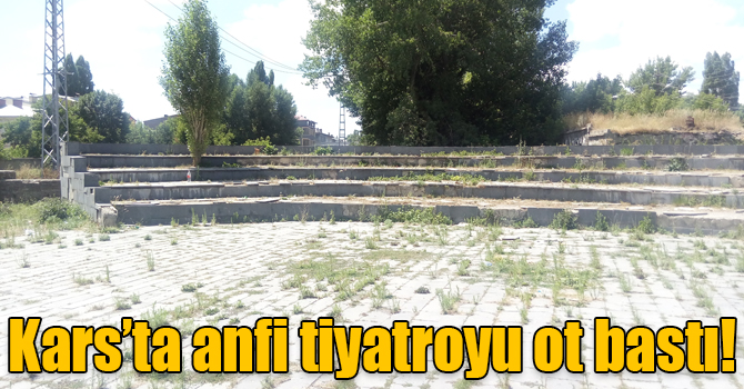Kars’ta anfi tiyatroyu ot bastı!