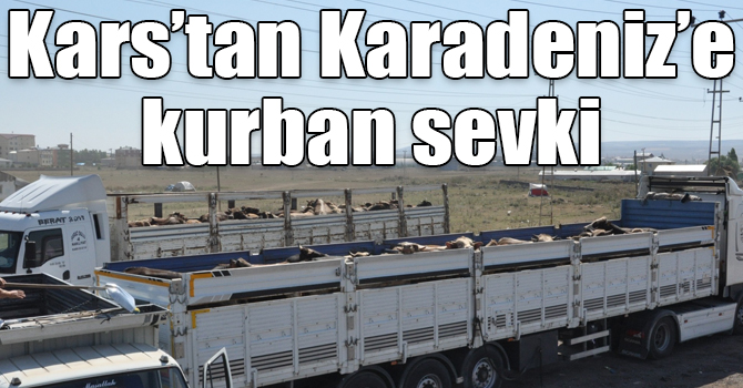 Kars’tan Karadeniz’e kurban sevki