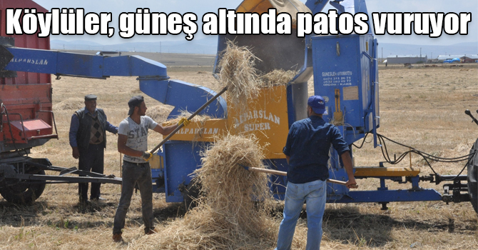 Kars’ta köylüler, güneş altında patos vuruyor