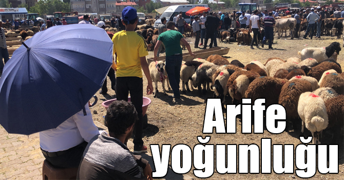 Kars'ta hayvan pazarında arife yoğunluğu