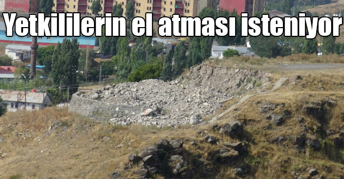 Yetkililerin el atması isteniyor