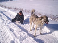 KARS'TA ÖĞRENCİLER HAFTA SONU TATİLİNİ KÖPEKLİ KIZAKLA KAYARAK GEÇİRİYOR