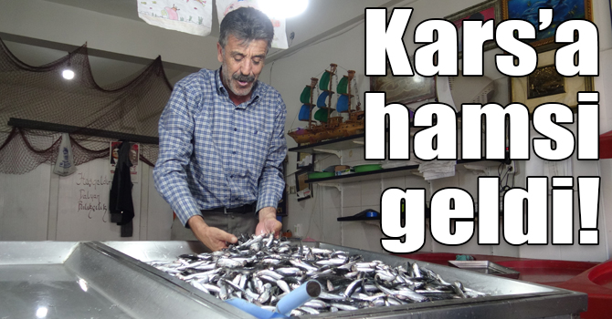 Kars’a hamsi geldi!