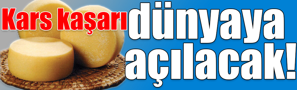Kars kaşarı dünyaya açılacak!