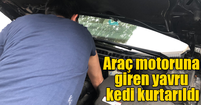 Araç motoruna giren yavru kedi kurtarıldı